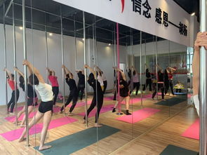 勁爆好消息！胡楊舞蹈周年特惠，僅198元體驗舞蹈魅力！